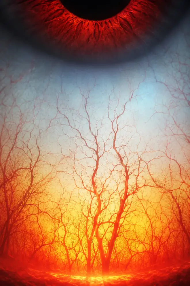 Fine blood vessels branching like a tree, nourishing the eye